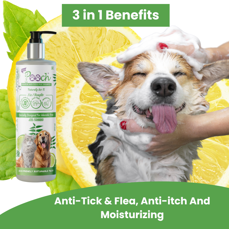 الشامبو الممتاز المضاد للقراد والبرغوث والخيال العلمي الطبيعي 3 في 1