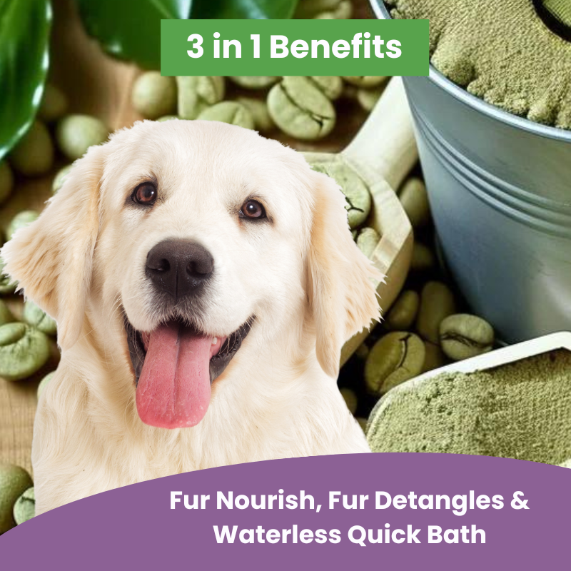 الشامبو الجاف قسط