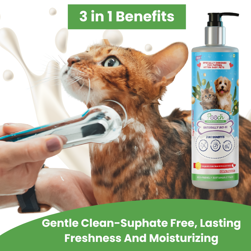 POOCH Premium Sulphate-Free Shampoo 200ml+200ml| Designed In Dubai | Gentle Clean| All breeds | Dogs |Cats