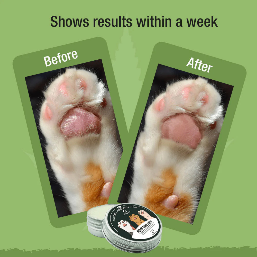 Goofy Tails Hemp Butter Paw Cream for Cats