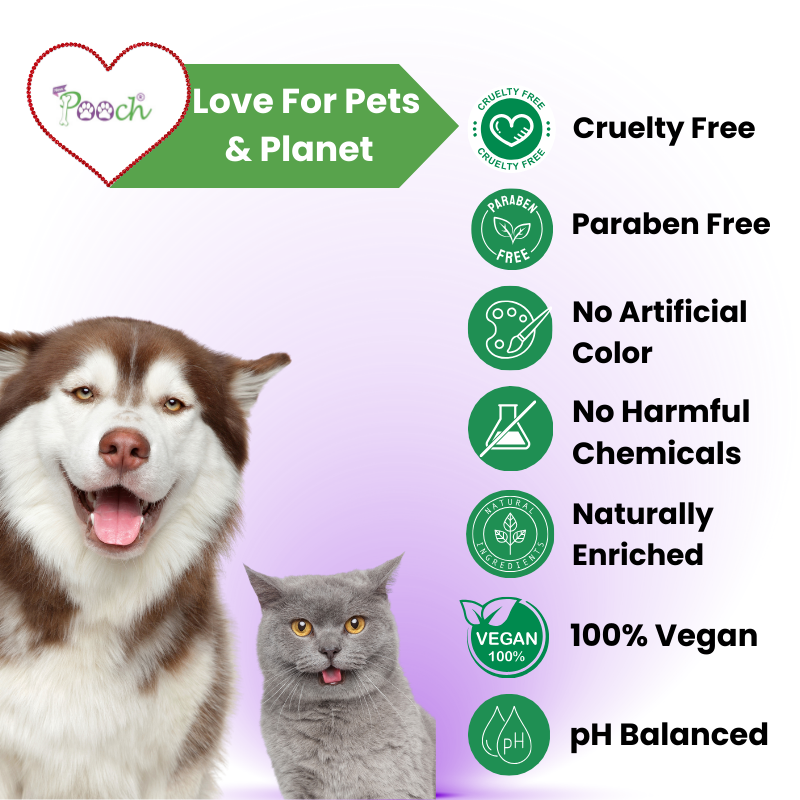 POOCH Combo: Anti-Tick & Flea Shampoo 200 ml + Suphate-Free Shampoo for baby pets 200ml| All breeds | Dogs |Cats