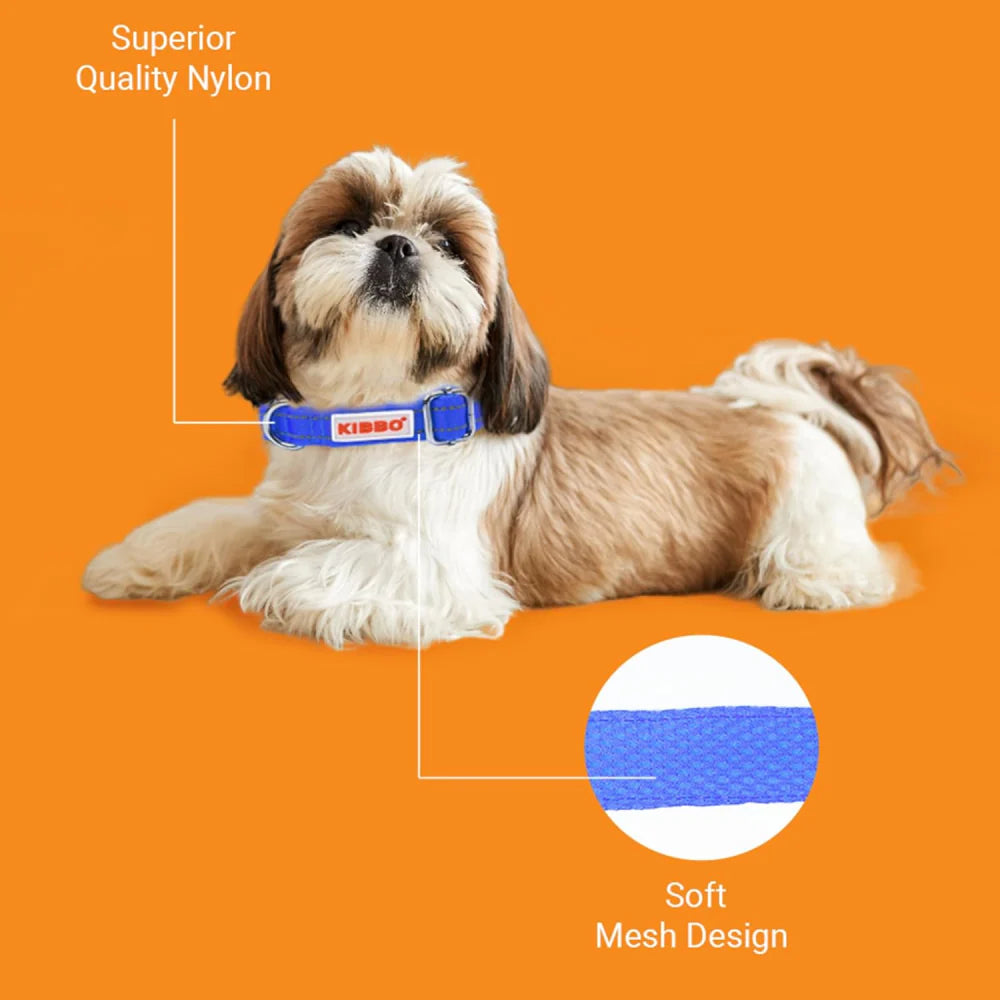 Kibbo Premium Reflective Padded With Soft Mesh Padding & Adjustable Design Collar for Dogs (Blue)