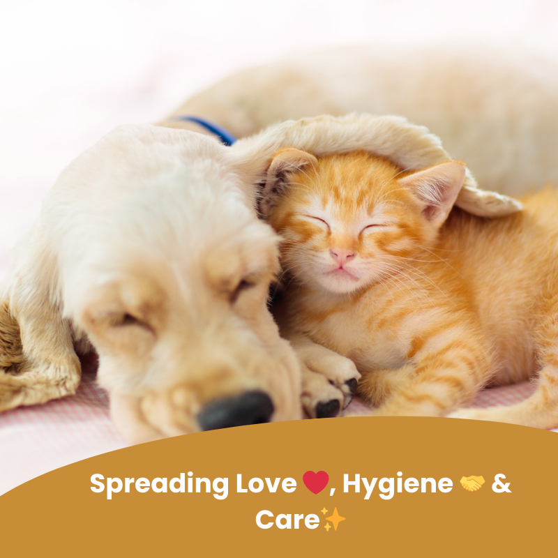 POOCH FurShine Serum | Designed in Dubai | Detangles Fur | 72 Hours Freshness