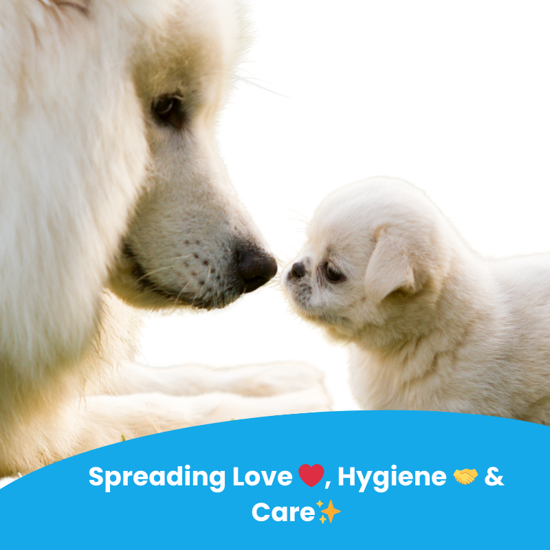 POOCH Sulphate-Free Shampoo| Designed In Dubai | Gentle Clean| All breeds | Dogs |Cats