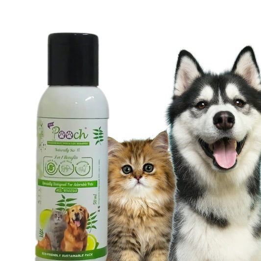 Pooch Anti Tick Shampoo - 50ml