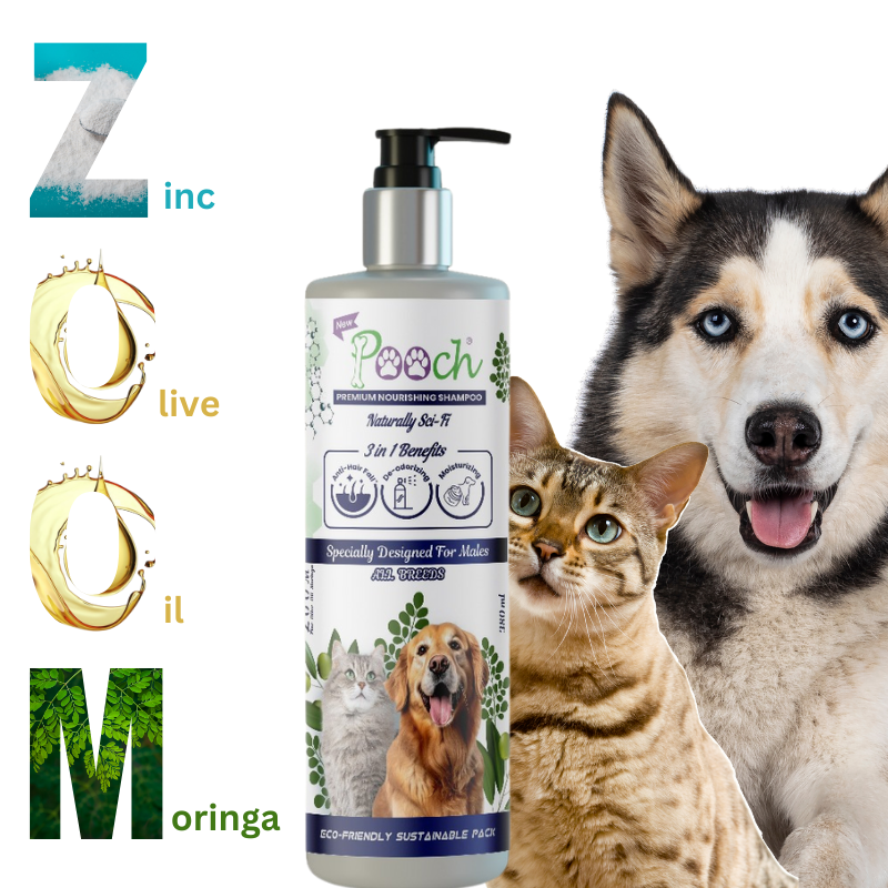 Pooch Premium Refreshing Shampoo for Male Dogs|Cats| Naturally Sci-Fi 3 in 1 | 400ml| ZOOM Tech|ALL Breeds