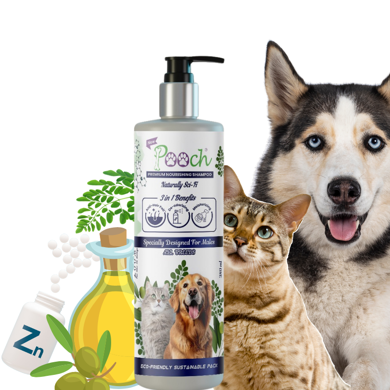 Pooch Premium Refreshing Shampoo for Male Dogs|Cats| Naturally Sci-Fi 3 in 1 | 400ml| ZOOM Tech|ALL Breeds