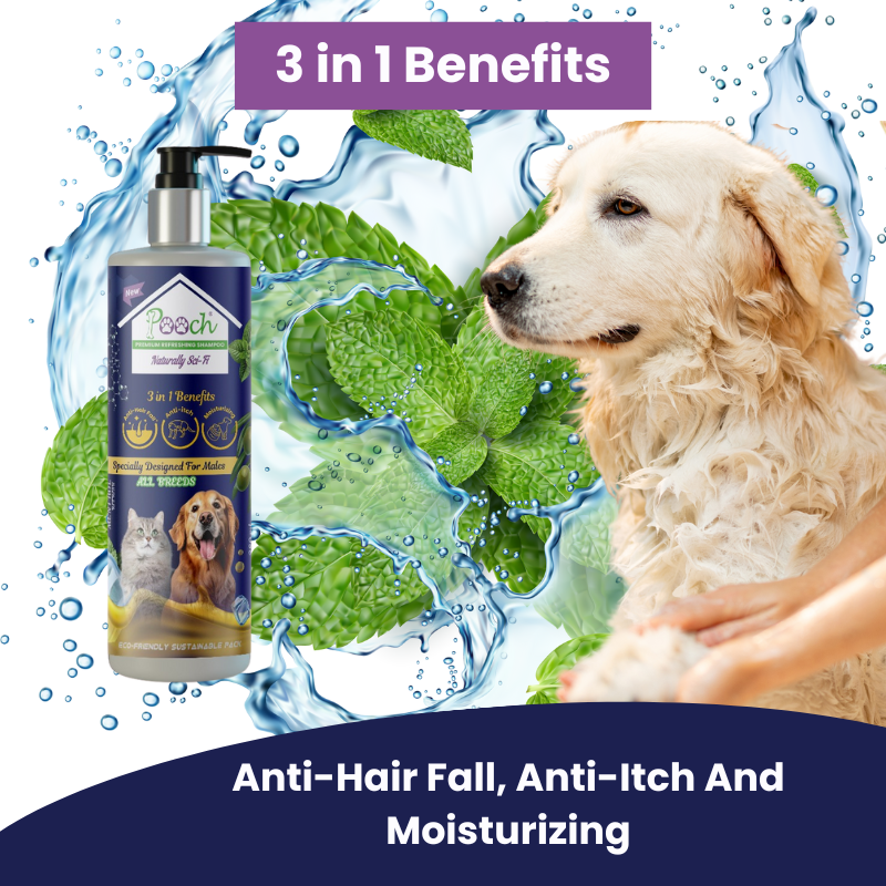 Premium Refreshing Shampoo for Male Dogs|Cats| 400ml| Designed in Dubai| Naturally Sci-Fi 3 in 1| All breeds