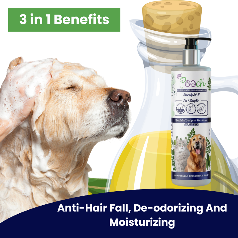 Pooch Premium Refreshing Shampoo for Male Dogs|Cats| Naturally Sci-Fi 3 in 1 | 400ml| ZOOM Tech|ALL Breeds