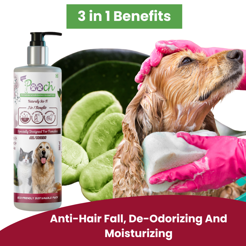Pooch Premium Nourishing Shampoo for female Dogs|Cats| Designed in Dubai| Naturally Sci-Fi 3 in 1| All breeds |400ml
