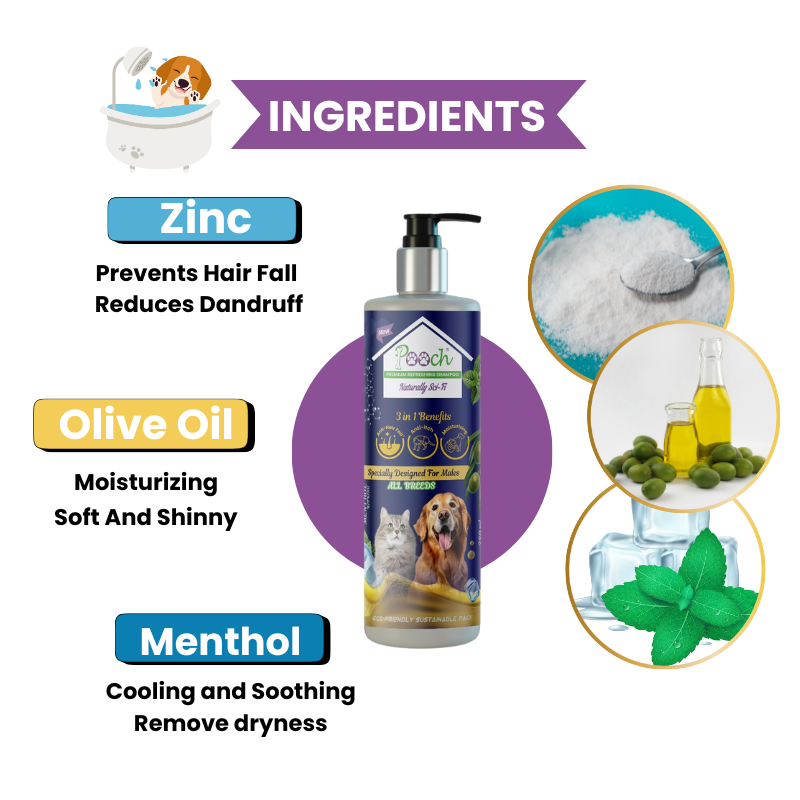 Premium Refreshing Shampoo for Male Dogs|Cats| 400ml| Designed in Dubai| Naturally Sci-Fi 3 in 1| All breeds