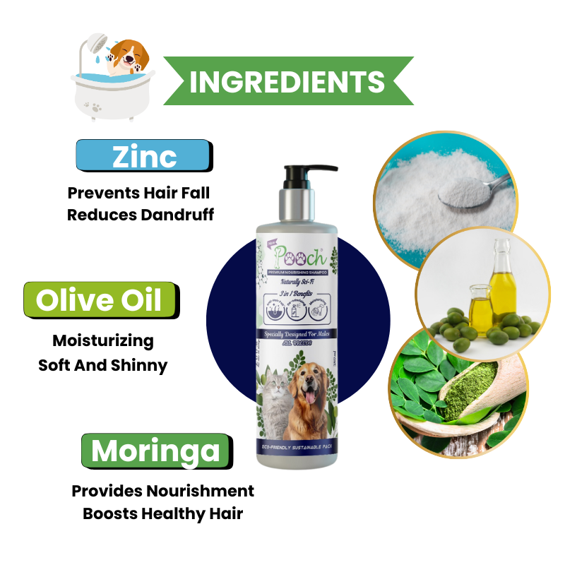 Pooch Premium Refreshing Shampoo for Male Dogs|Cats| Naturally Sci-Fi 3 in 1 | 400ml| ZOOM Tech|ALL Breeds