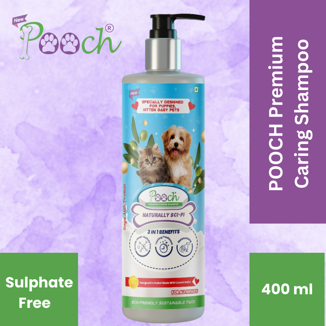 Shampoo fashion for shih tzu philippines