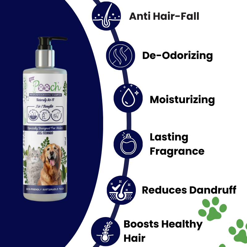 Pooch Premium Refreshing Shampoo for Male Dogs|Cats| Naturally Sci-Fi 3 in 1 | 400ml| ZOOM Tech|ALL Breeds