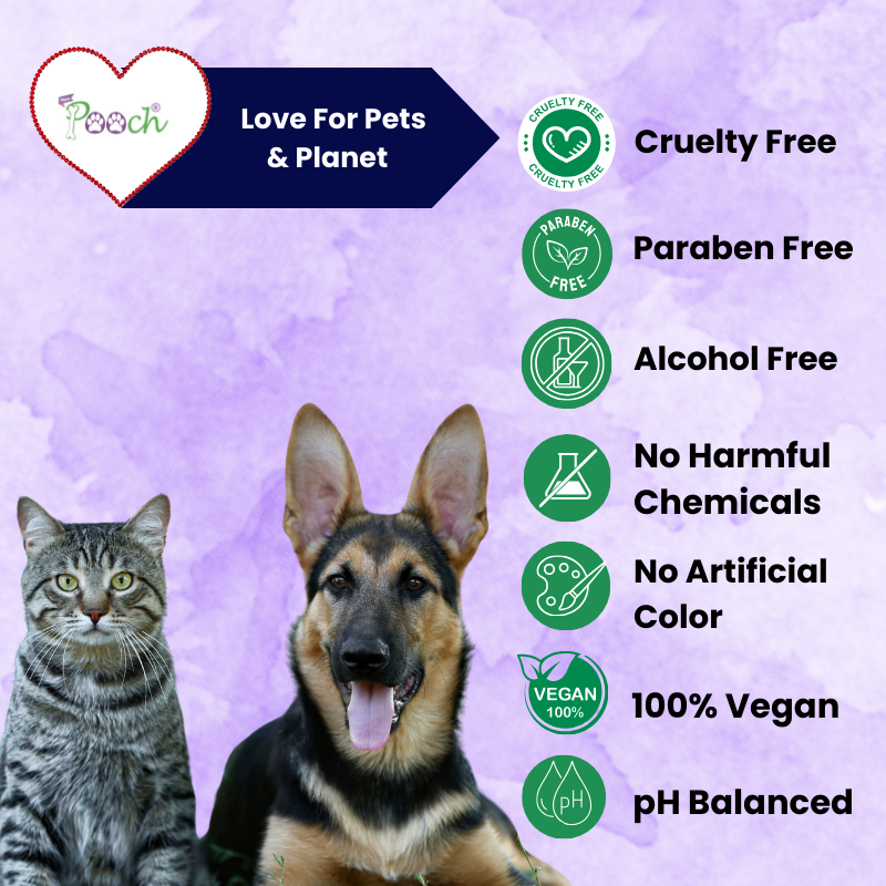 Pooch Premium Refreshing Shampoo for Male Dogs|Cats| Naturally Sci-Fi 3 in 1 | 400ml| ZOOM Tech|ALL Breeds