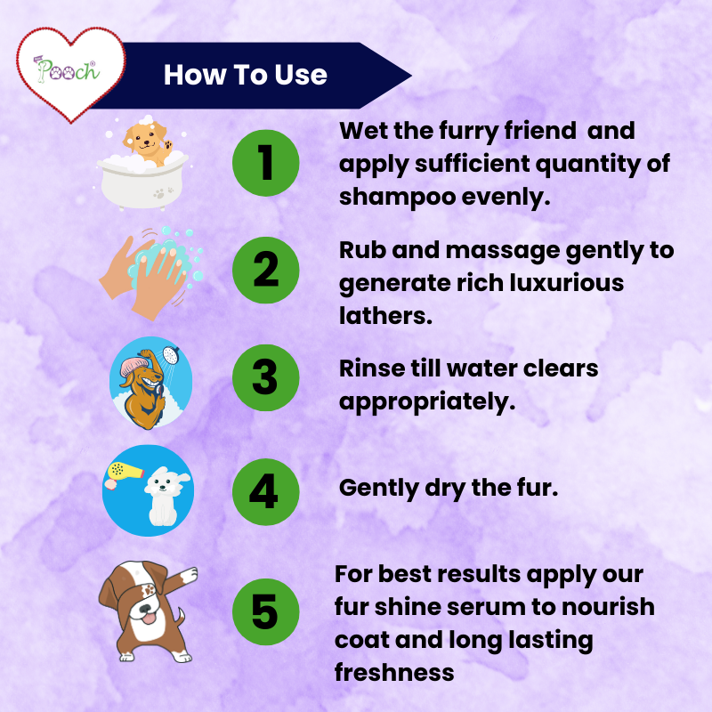 Pooch Premium Refreshing Shampoo for Male Dogs|Cats| Naturally Sci-Fi 3 in 1 | 400ml| ZOOM Tech|ALL Breeds