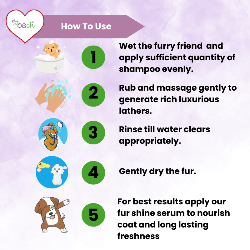 POOCH Premium Onion Shampoo for Female Dogs|Cats| Designed in Dubai |All breeds| 400ml